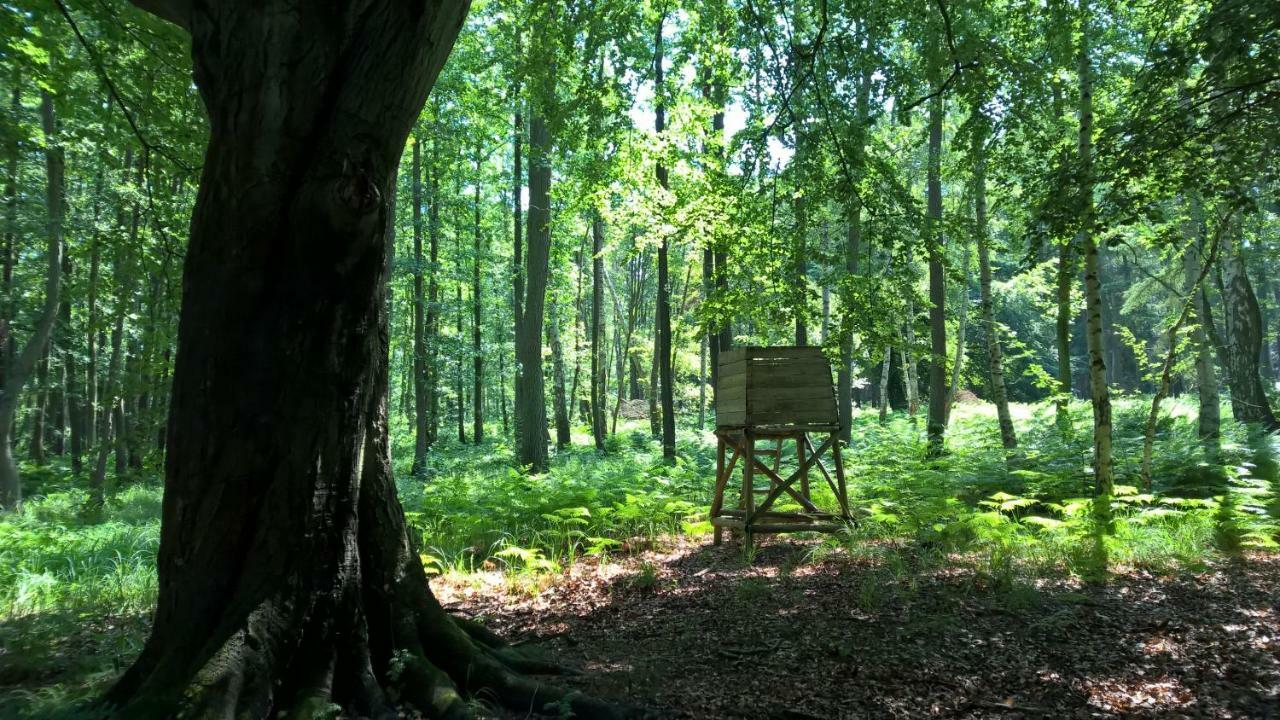 Ferienwohnung "Schonzeit" Graal-Mueritz Luaran gambar